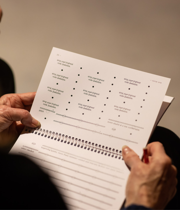 A group of people standing and singing together as part of De-Choiring at Phoenix Central Park